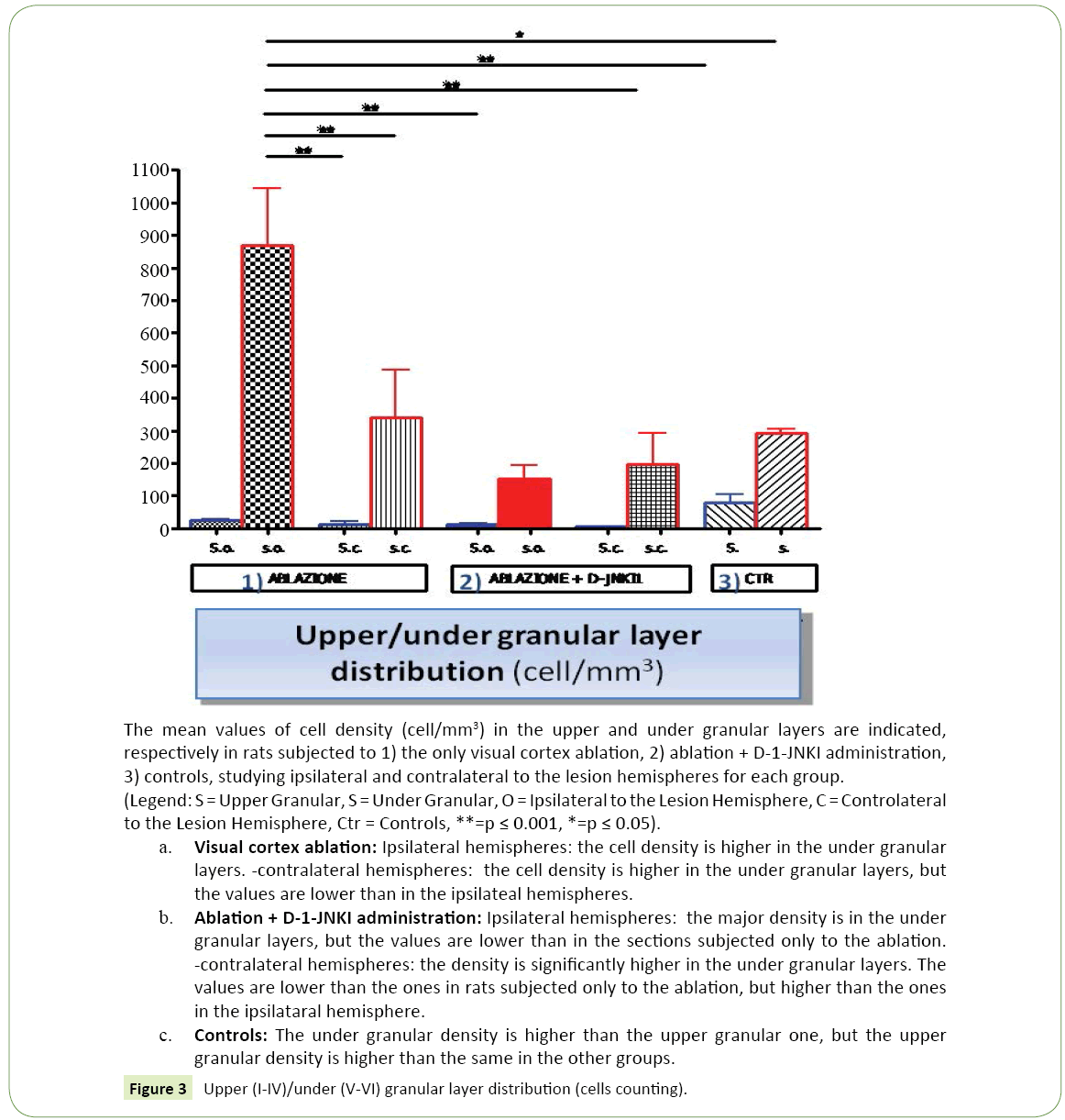 jneuro-granular-layer