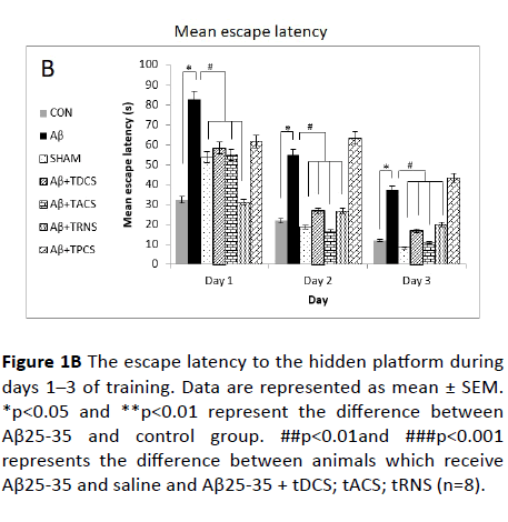 What's The Difference Between tDCS & tACS?