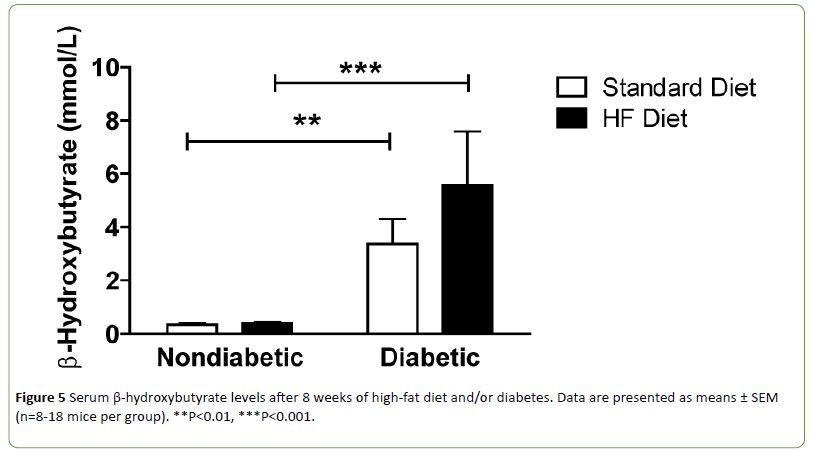 jneuro-high-fat-diet