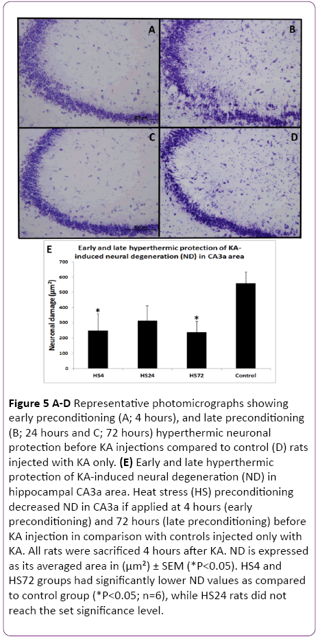 jneuro-hyperthermic-neuronal