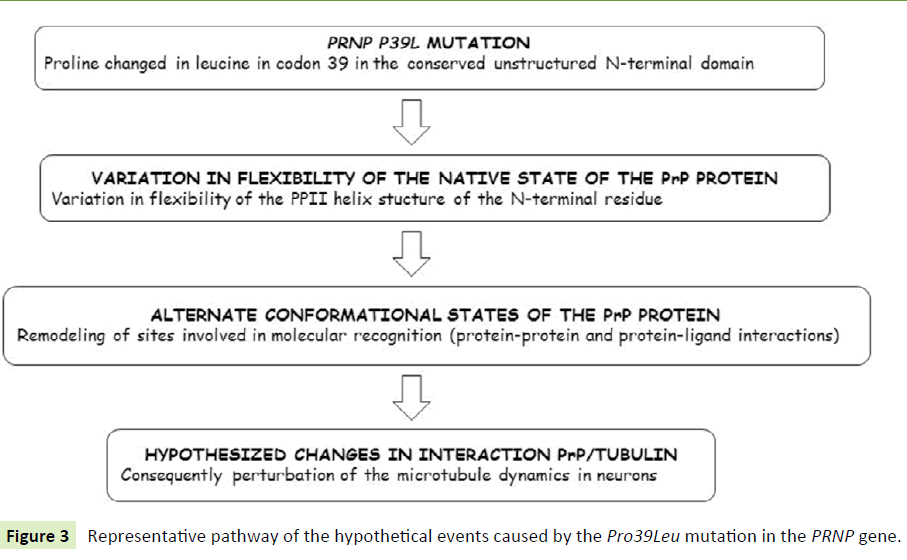 jneuro-hypothetical-events