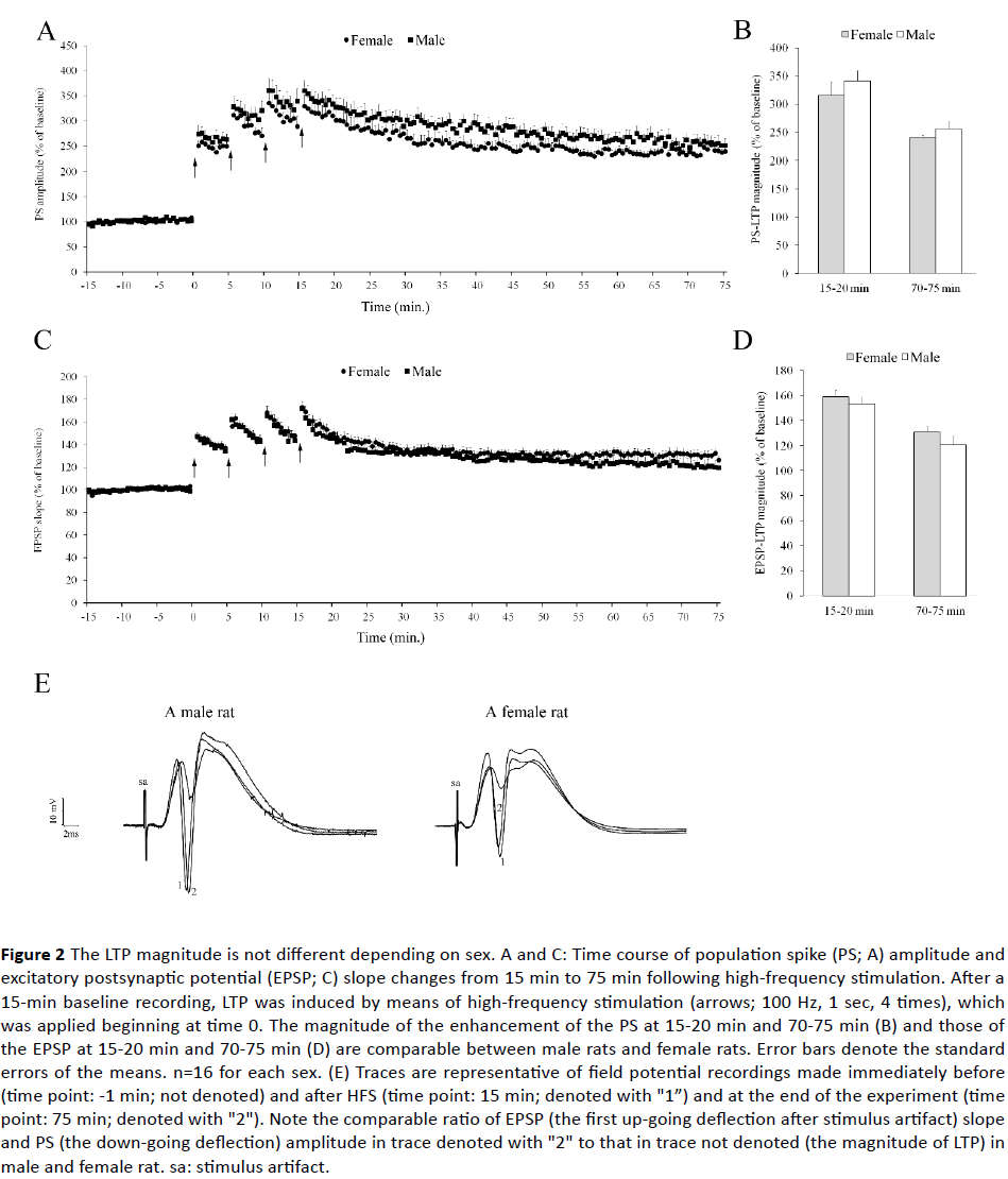 jneuro-male-female-rat