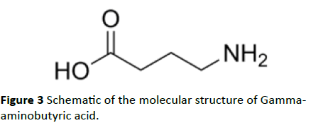 jneuro-molecular-structure