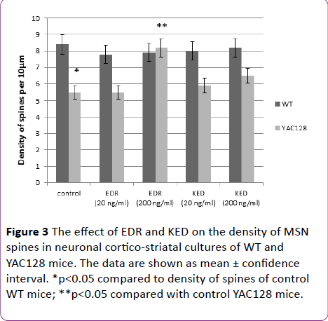 jneuro-neuronal-cortico-striatal