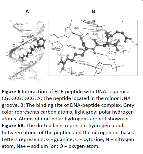 jneuro-polar-hydrogen-atoms