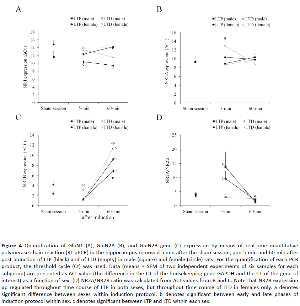 jneuro-polymerase-chain-reaction