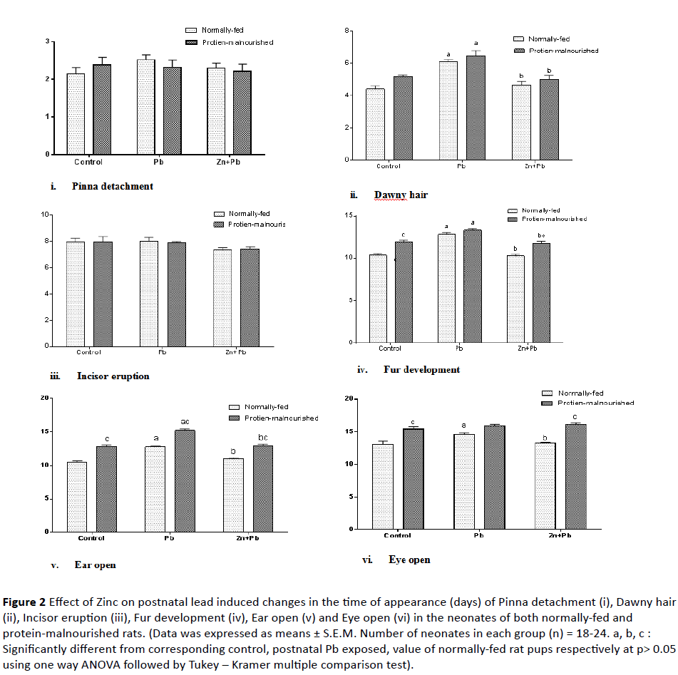 jneuro-protein-malnourished