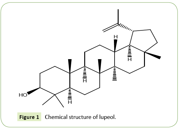 jneuro-structure-lupeol