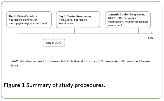 jneuro-study-procedures