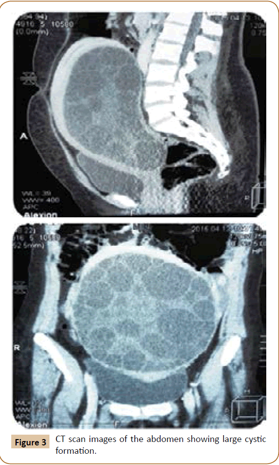 jusurgery-scan-images