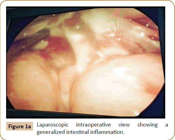 jusurgery-view-showing