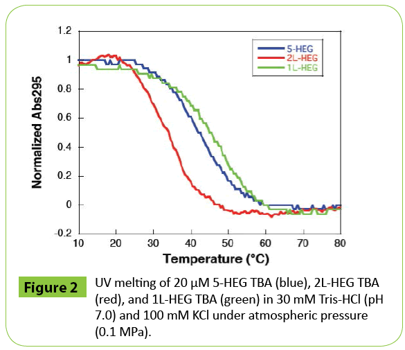 medt-UV-melting