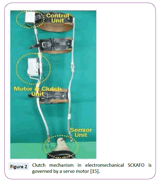 neurology-neuroscience-Clutch-mechanism