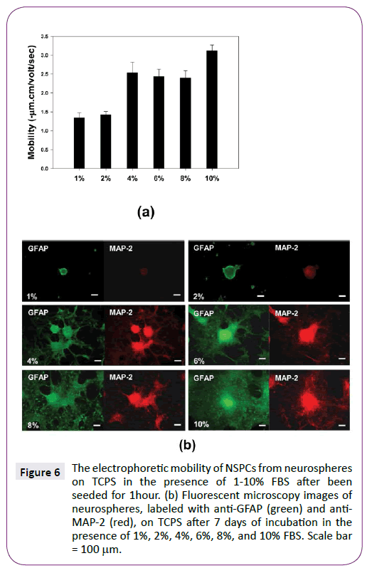 neurology-neuroscience-Fluorescent-microscopy