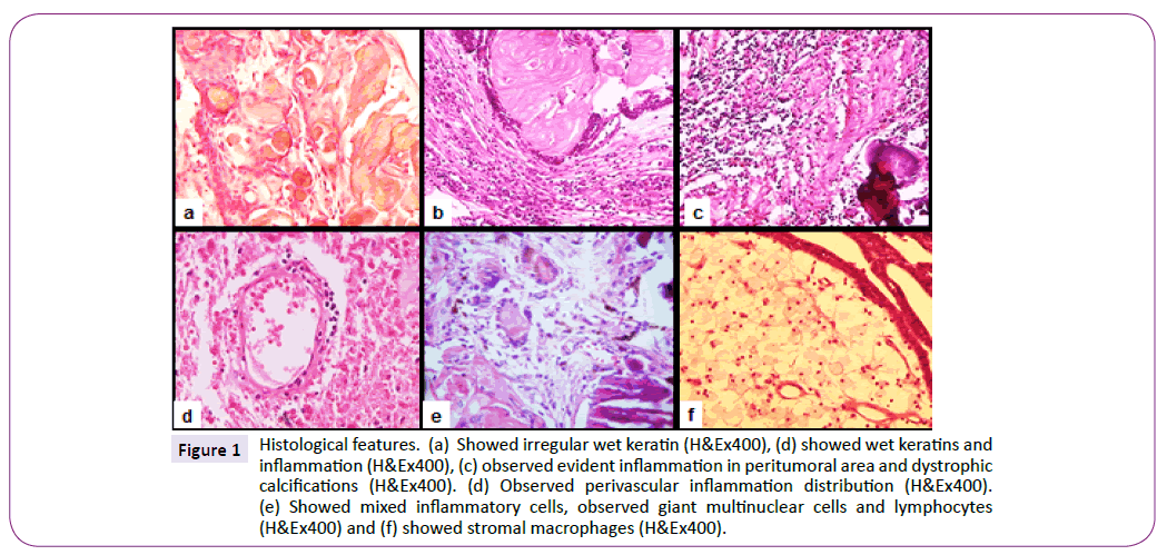 neurology-neuroscience-Histological-features