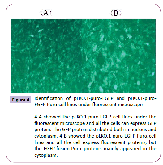 neurology-neuroscience-Identification