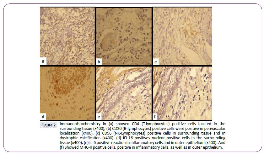 neurology-neuroscience-Immunohistochemistry