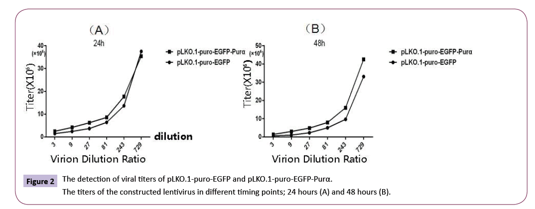 neurology-neuroscience-detection