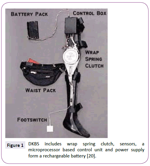 neurology-neuroscience-includes-wrap