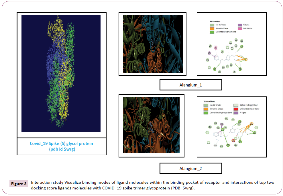 transbiomedicine-binding-modes