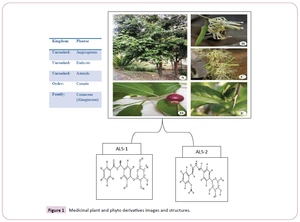 transbiomedicine-medicinal-plant