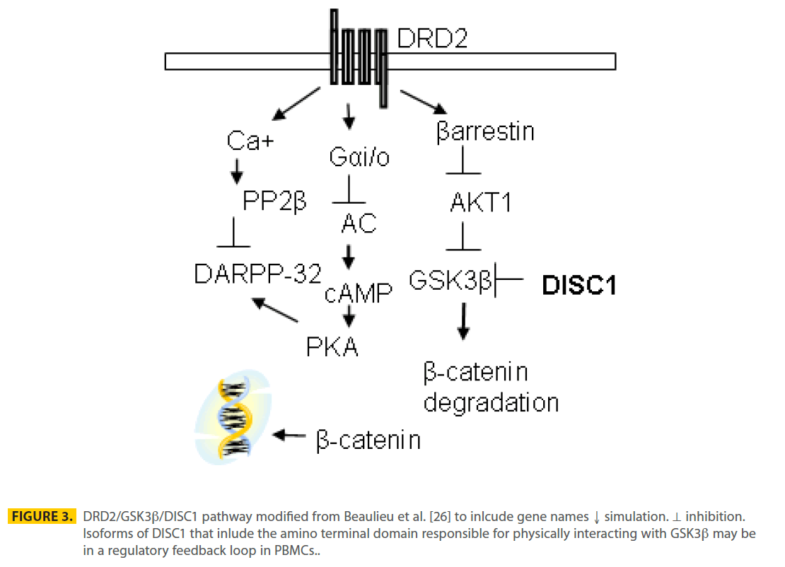 transbiomedicine-pathway-modified