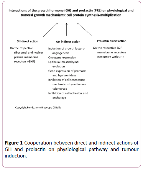 transbiomedicine-physiological