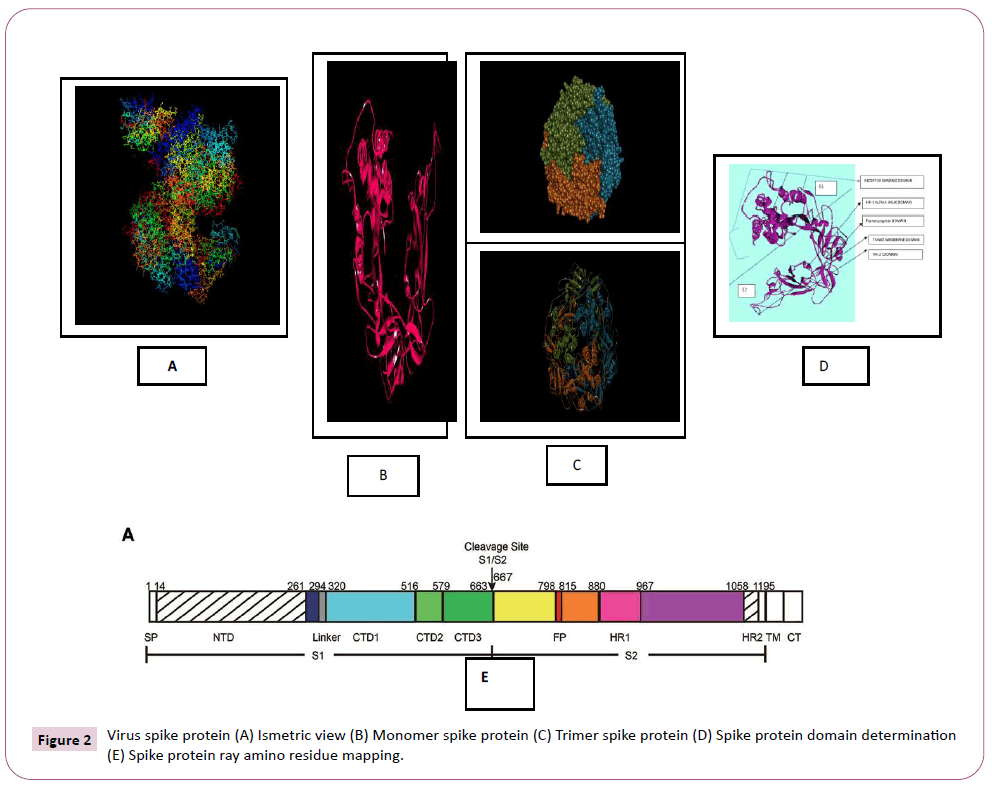 transbiomedicine-spike-protein