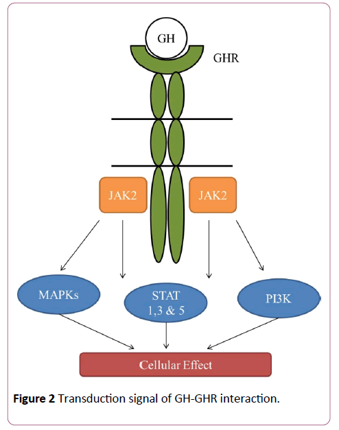 transbiomedicine-transduction