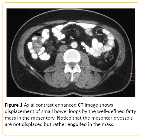 translational-biomedicine-Axial-contrast