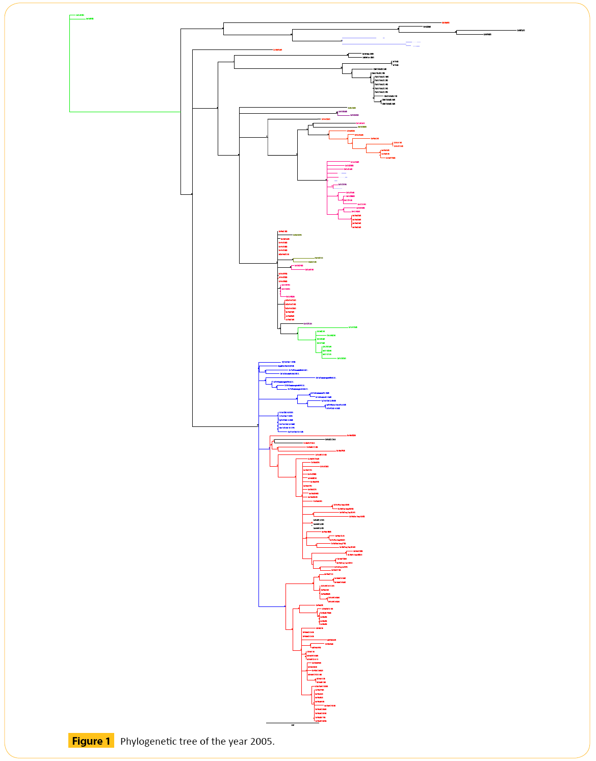 translational-biomedicine-Phylogenetic-tree