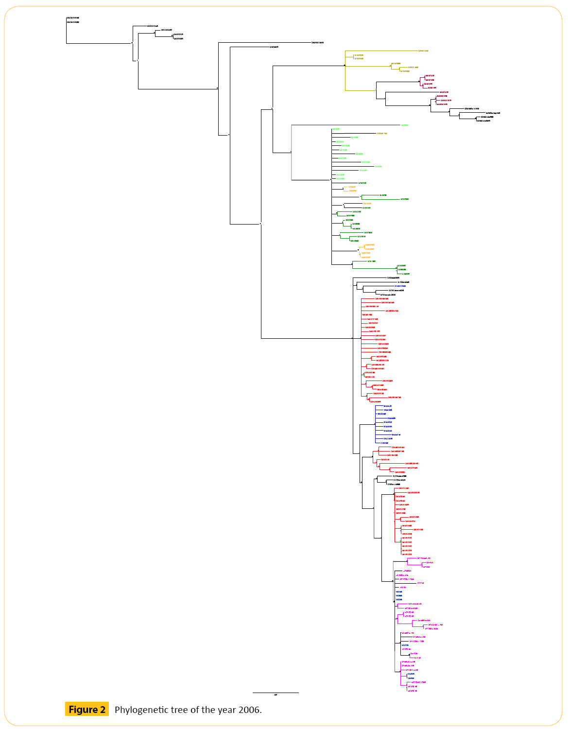 translational-biomedicine-Phylogenetic-tree