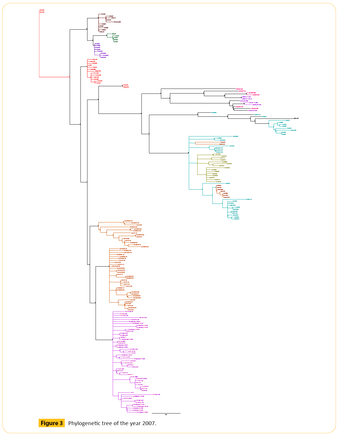 translational-biomedicine-Phylogenetic-tree