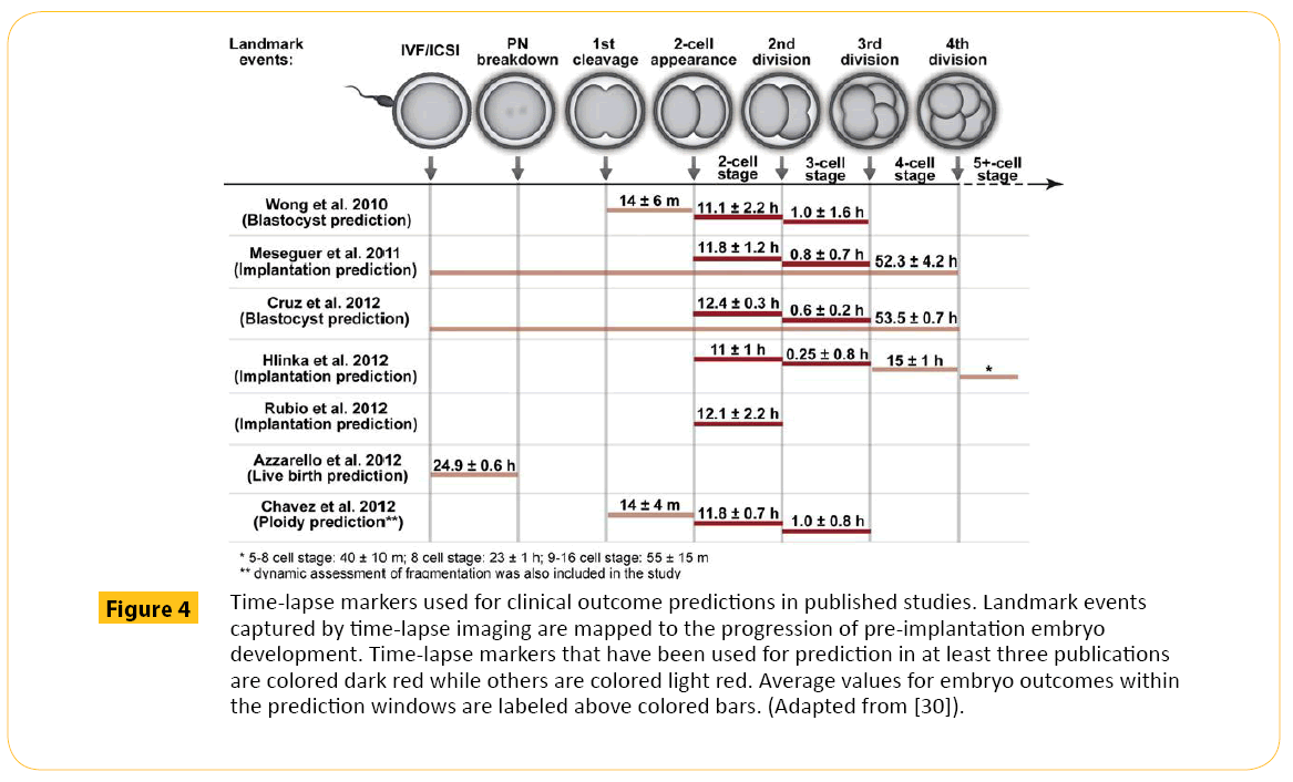 translational-biomedicine-Time-lapse