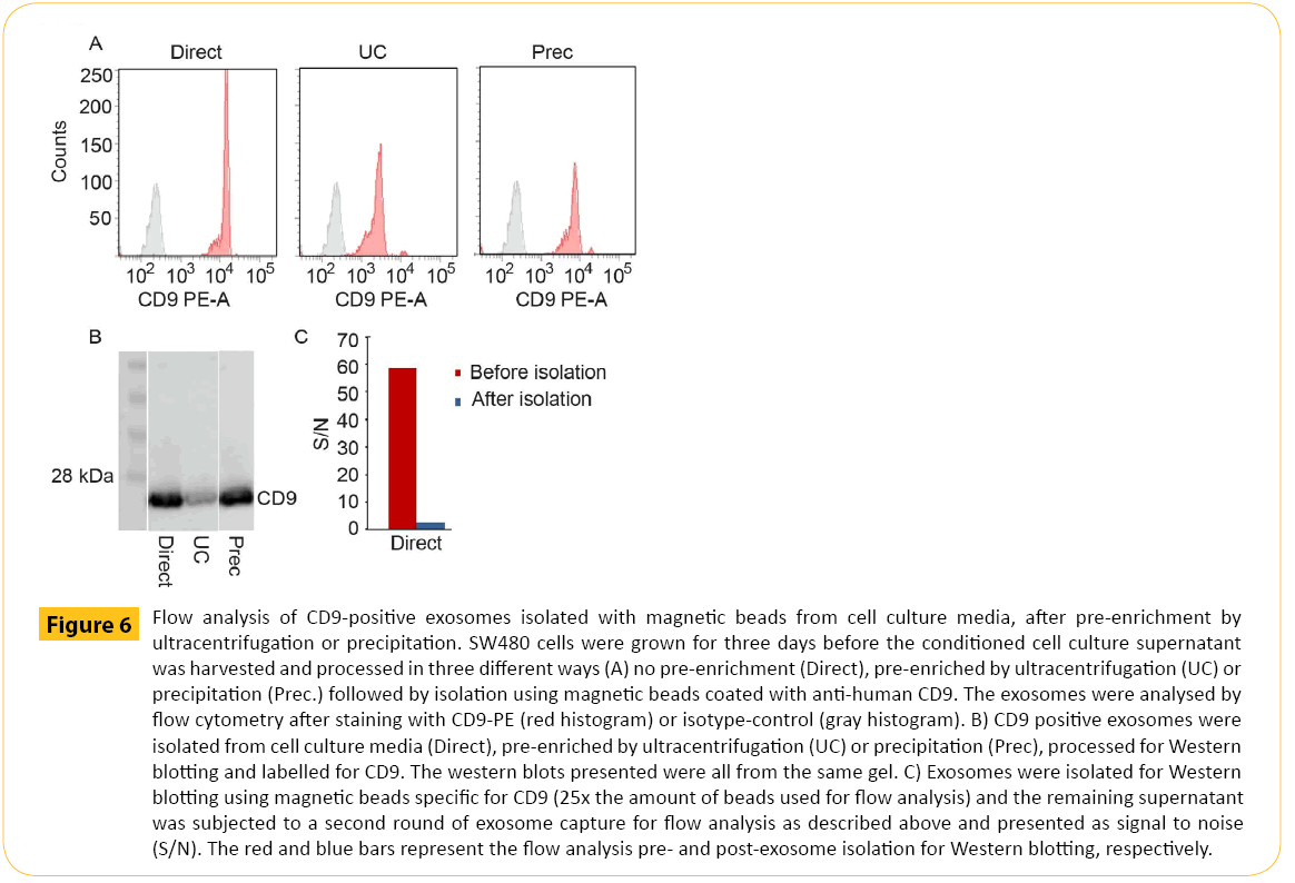 translational-biomedicine-exosomes-isolated