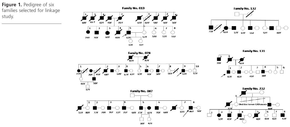 translational-biomedicine-families-selected