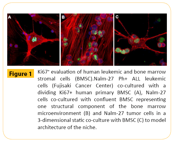 translational-biomedicine-human-leukemic