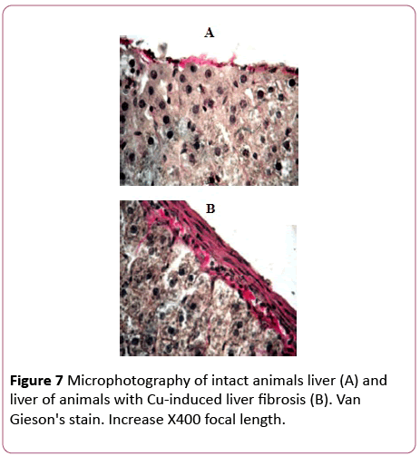 translational-biomedicine-intact-animals