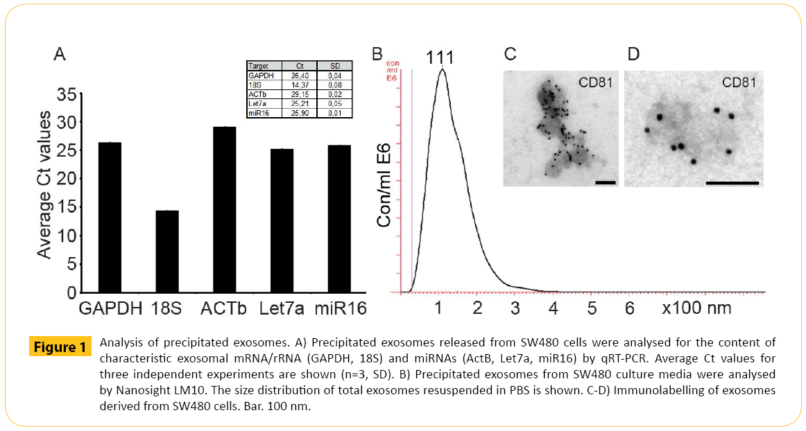 translational-biomedicine-precipitated-exosomes