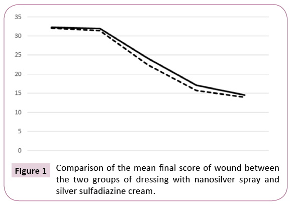 translational-biomedicine-score-wound