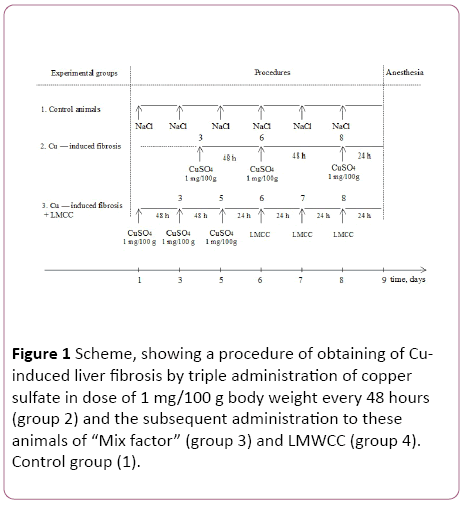 translational-biomedicine-triple-administration